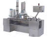 In Line Filling  Machine